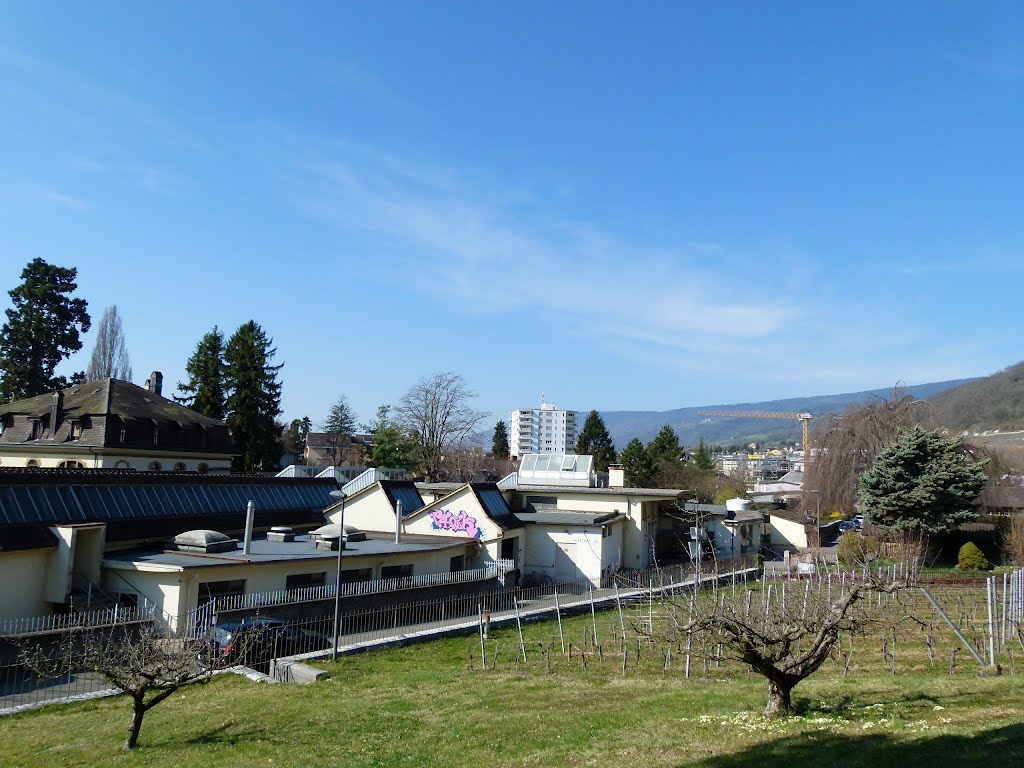 Vue sur La Neuveville depuis Montagu by Magda GHALI