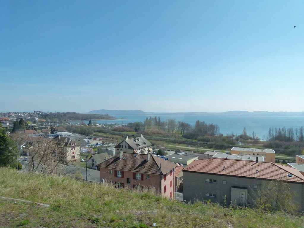 La côte entre Cressier et Saint-Blaise (NE) by Magda GHALI