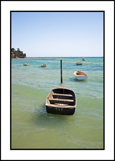 Cameron's Bight,Victoria, Australia by rosina lamberti