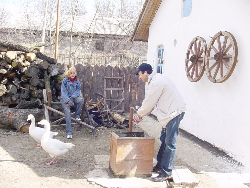 Ураинский традиций дом, Geneleksel Ukrayna Evi by devrimdpt