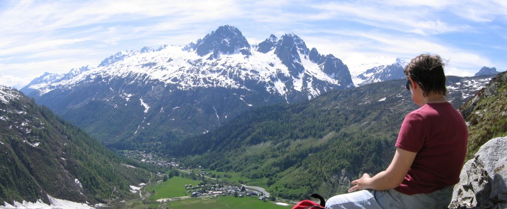 Les aiguilles rouges by Didier Brulin