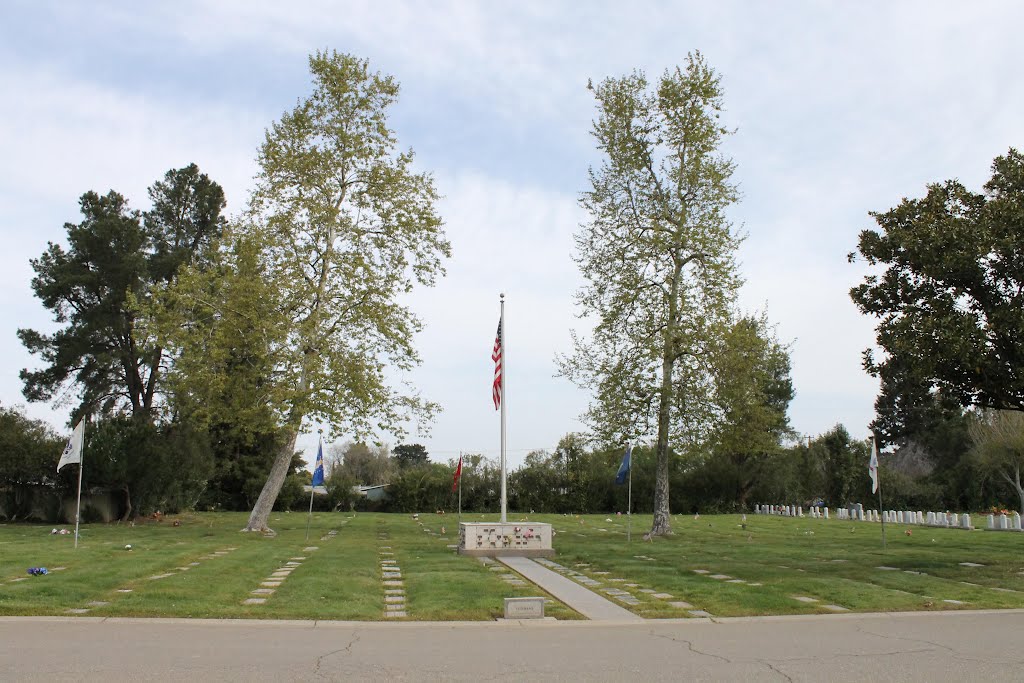 Veterans plots, Los Gatos Memorial Park by Edward Rooks