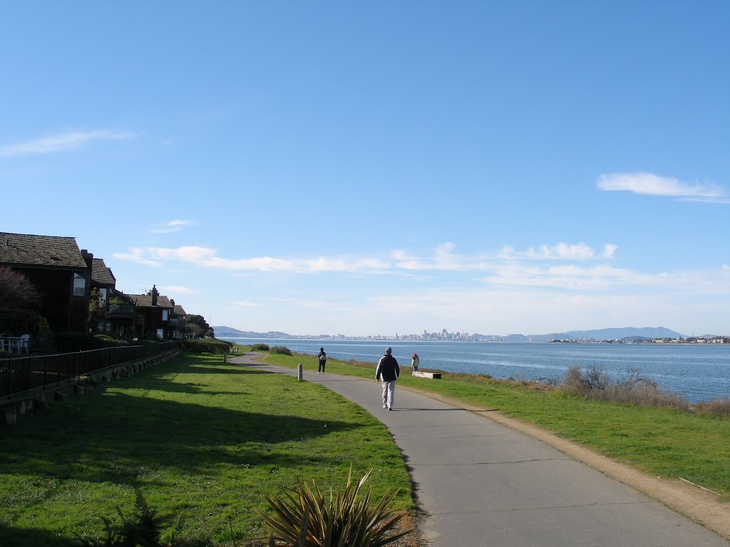 San Francisco Bay from Bay Farm Island by Dion Good