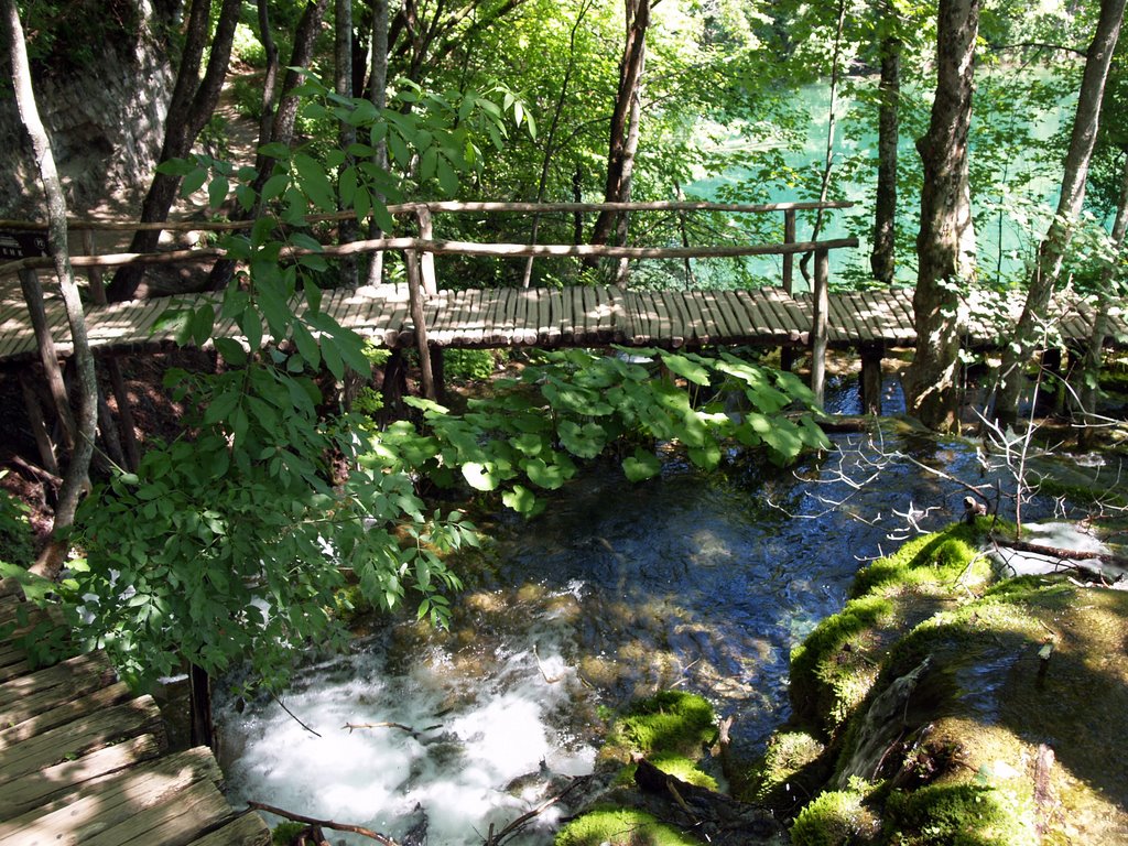 Plitvice Lakes 2006 summer by Kiss Ágnes