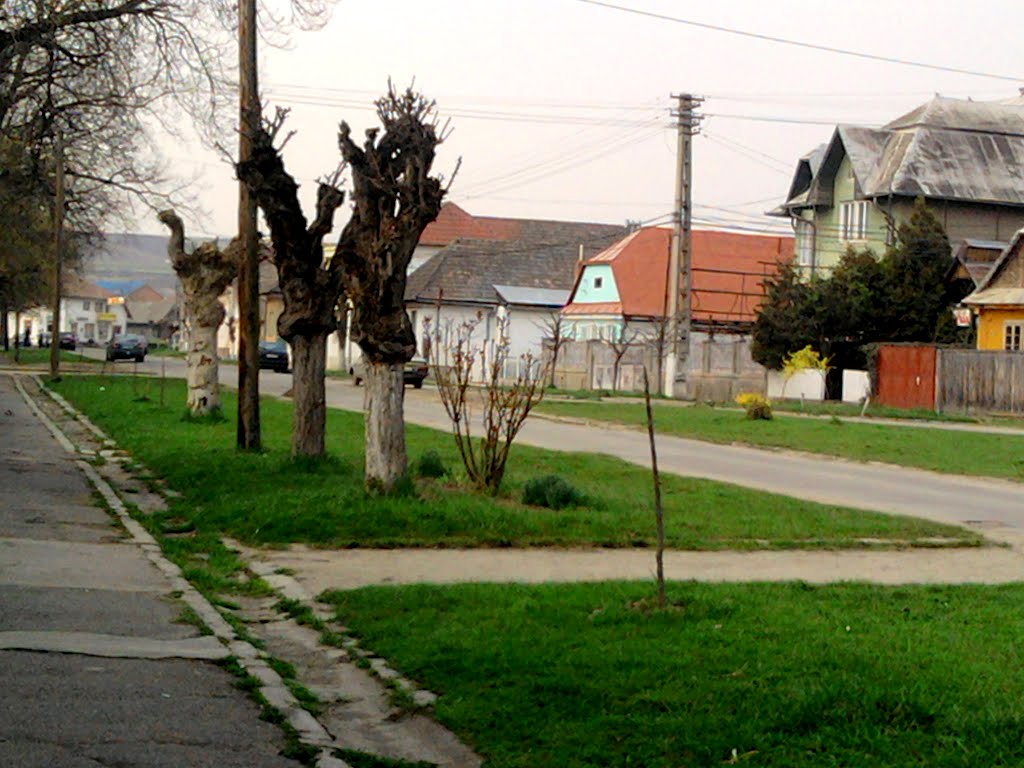 Turda - Str. Basarabiei - (2009.04.08) by Ana Maria Catalina