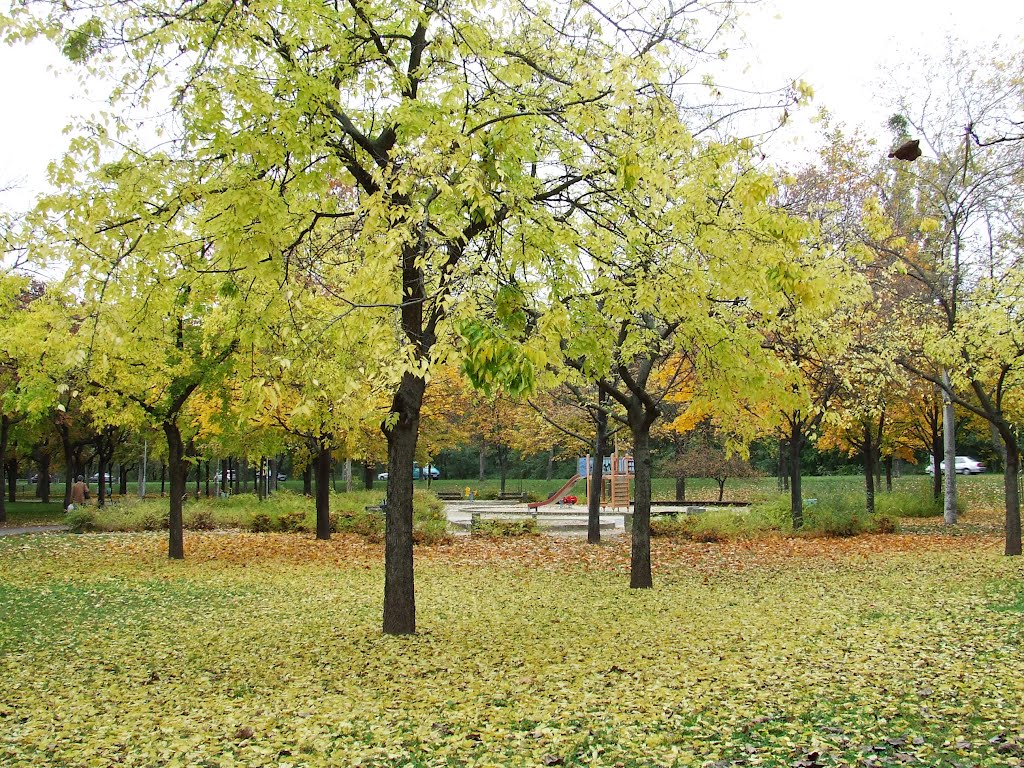 Ősz a parkban / Autumn in the Park by Kisné Nagy Rózsa