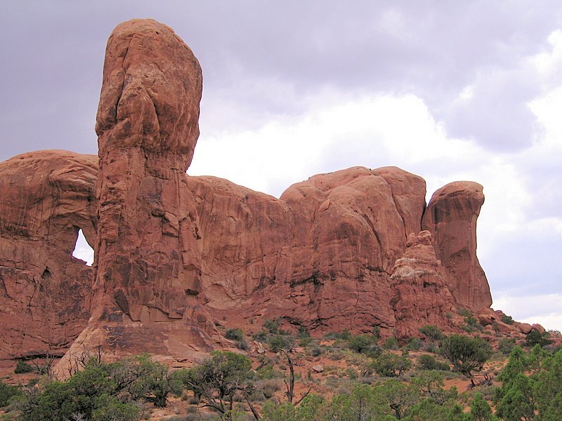 Odd forms on the land by Andy Goss