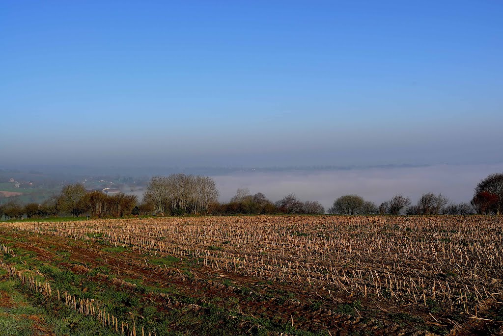 La campagne Normande proche du village le Chefrenne by Christian VIGNA