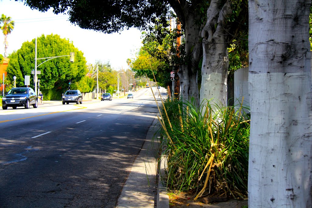 3rd St., Hancock Park, Los Angeles, CA by MICHAEL  JIROCH  &  www.michaeljiroch.com