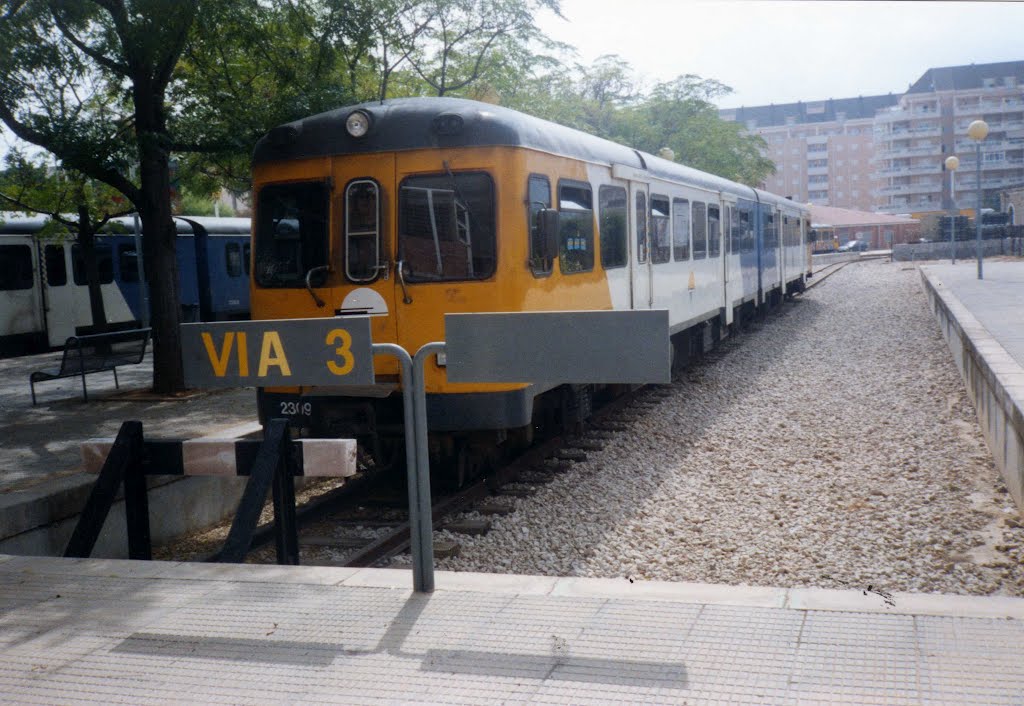 El tren en la via 3 denia by pintatrenes