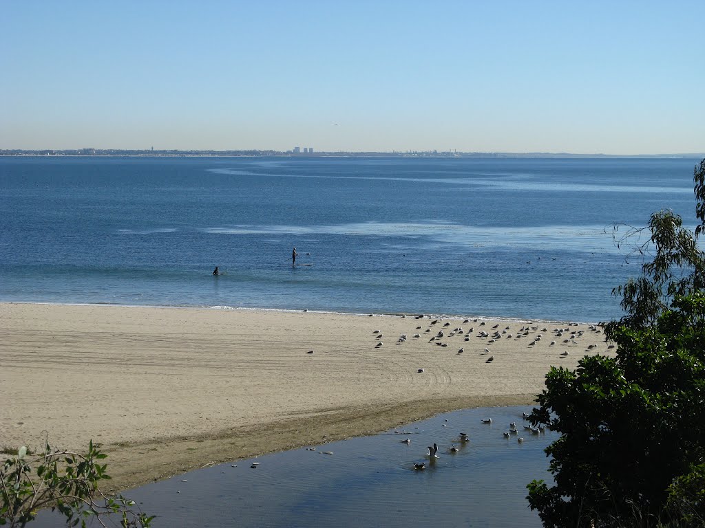 Beach - Paddle Boarder by cande56755