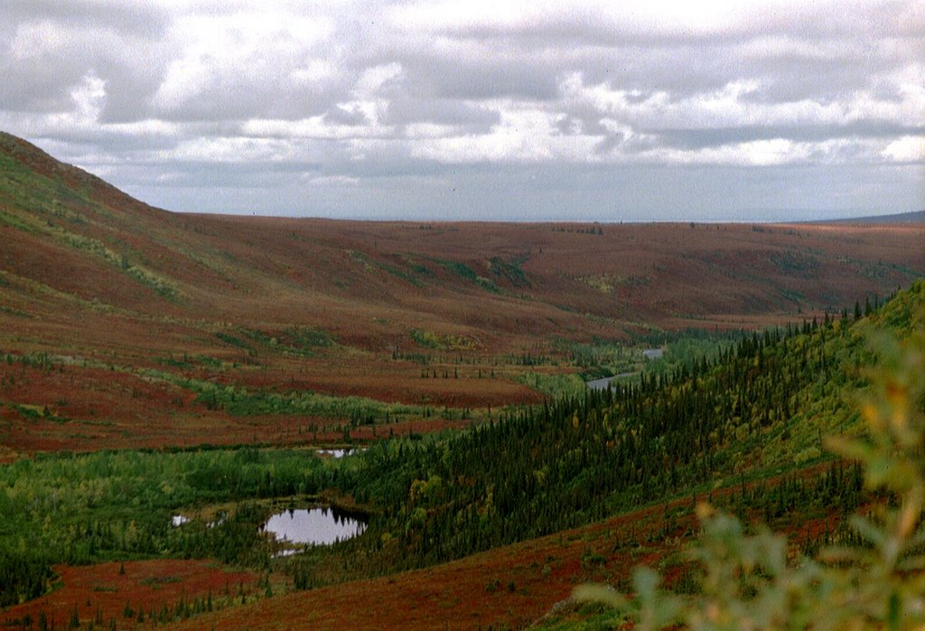 Wickersham Dome in Denali N.P. backc by urs