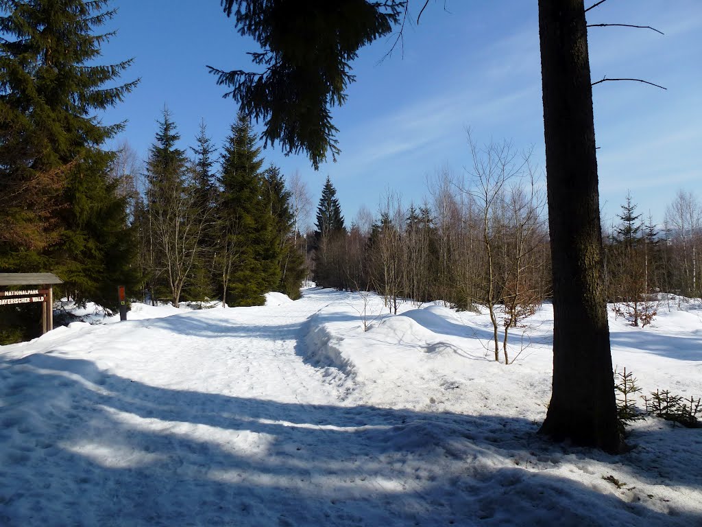 Am Filzwald nahe Riedlhütte by klaus.dawoidler