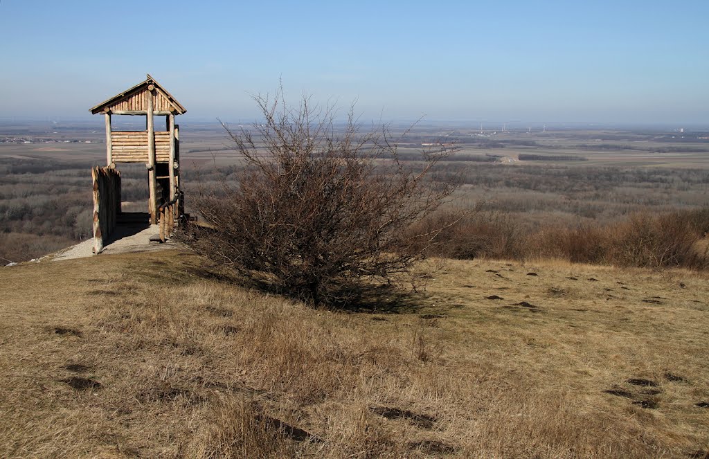 Hainburg an der Donau, Braunsberg, Keltische Wachturm by považan sk