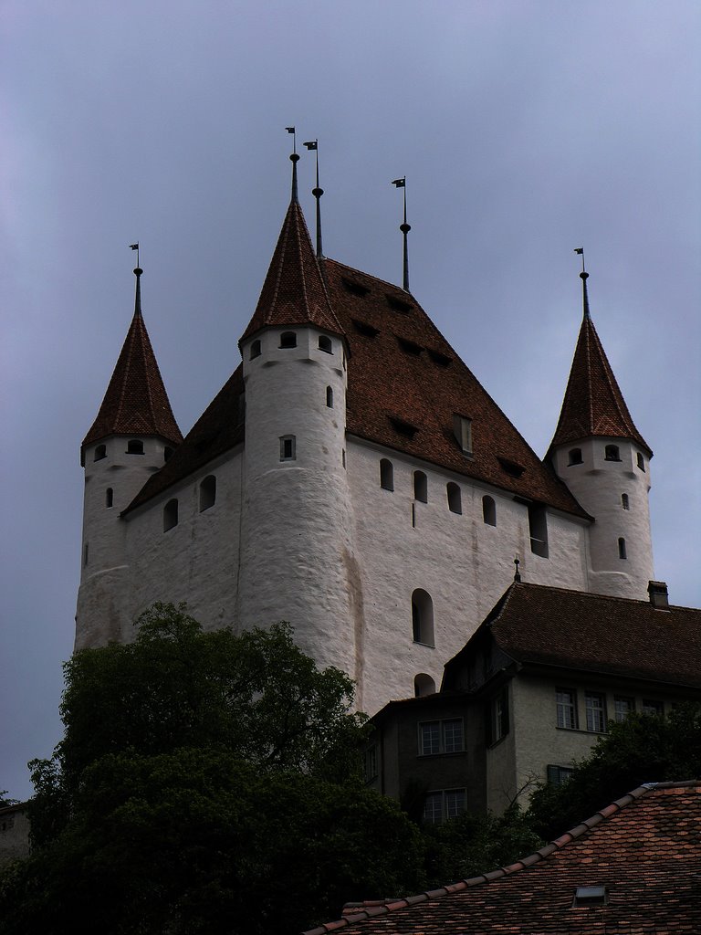 Thun Castel by Hubernuck