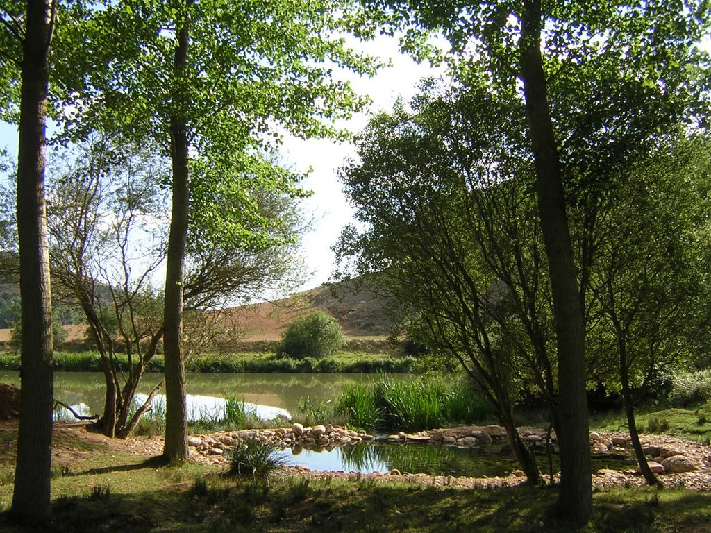 Fuente de la Gallina by Rosa del Hoyo