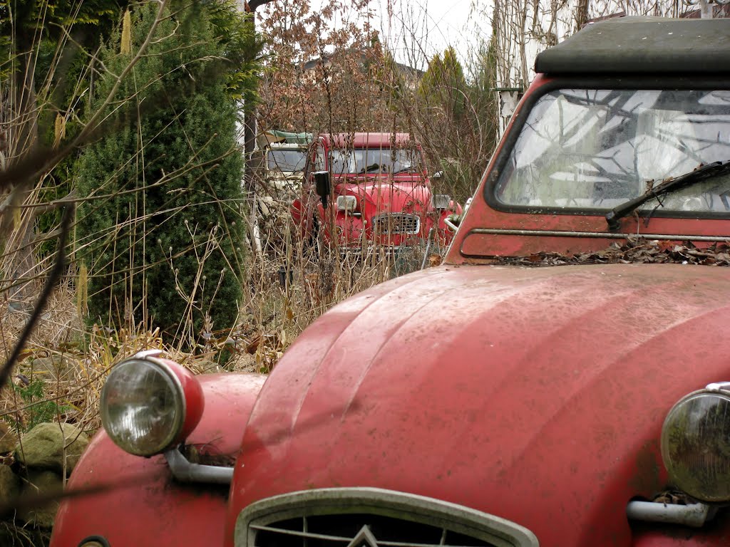 Deux Chevaux 2CV "Ente" by mvw65