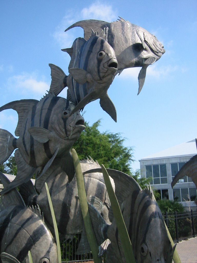 NC Aquarium Sculpture by ioanandrew