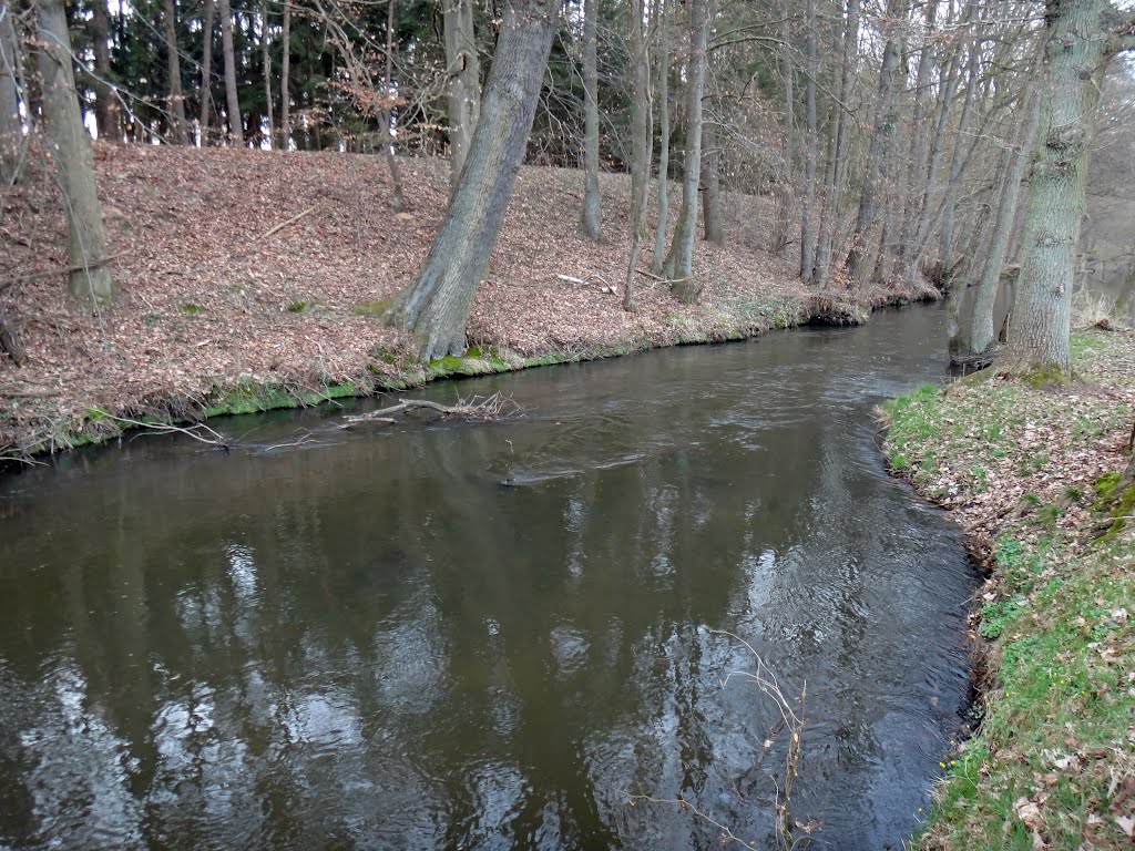 Fischen ohne Widerhaken by rickert-hamburg