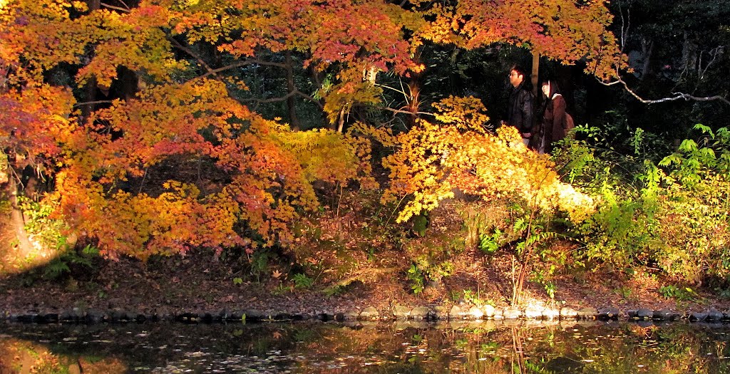 日本 京都 植物園 Botanical Garden,Kyoto,Japan by Percy Tai  漆園童