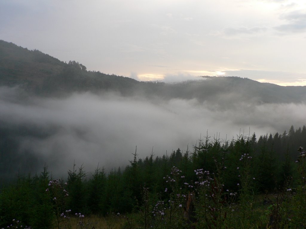 Kirulyfürdő - Erdély (Transylvania) - 2007 by tombat (Nagy Tamás)