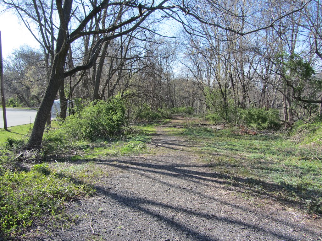 Trail by Adam Elmquist