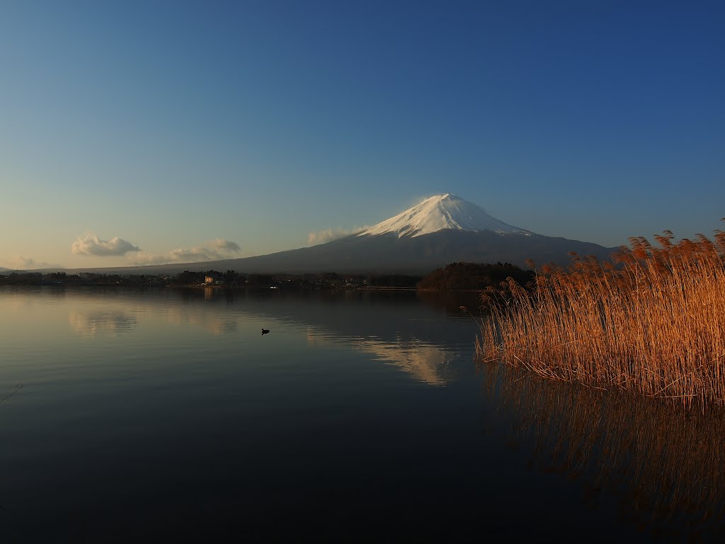 Mt. Fuji reflected in a lake by Tsuru