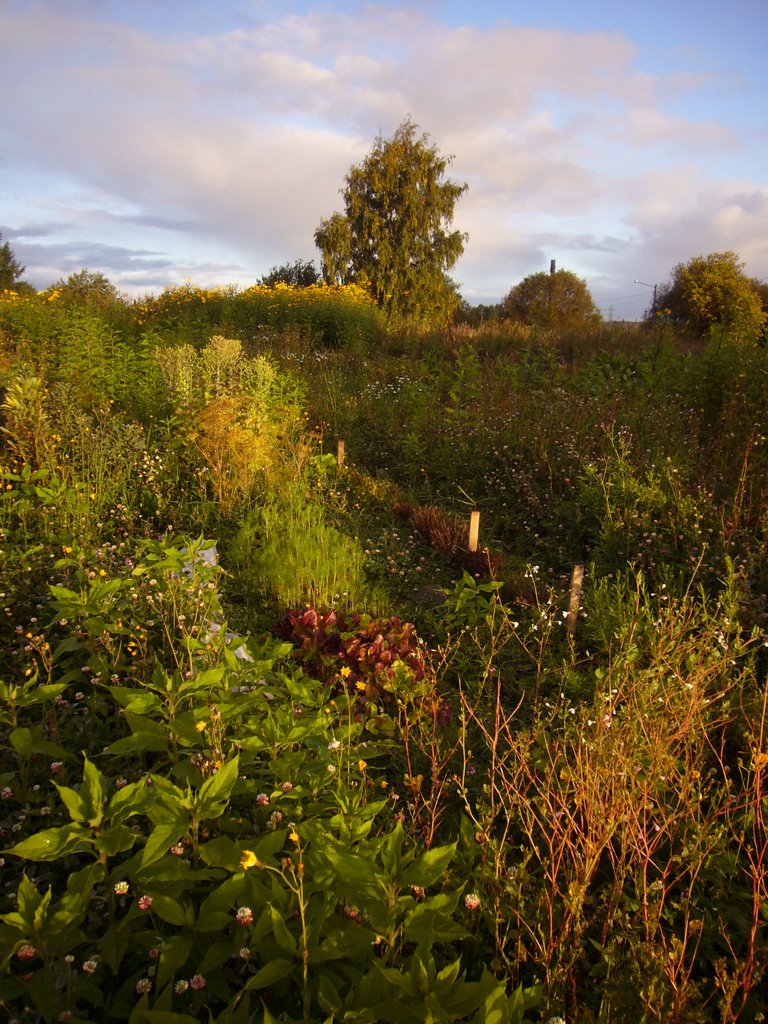 Student village fields 2007 by KitteK