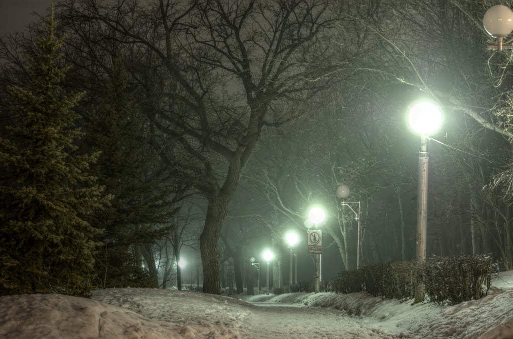 Ночь. Туман. Загородный парк # Night. Fog. Zagorodny park by Wlad63