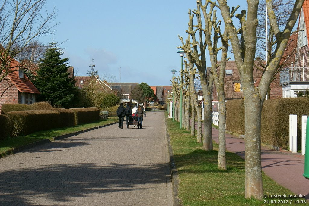 Polderweg by Leschek Jeschke