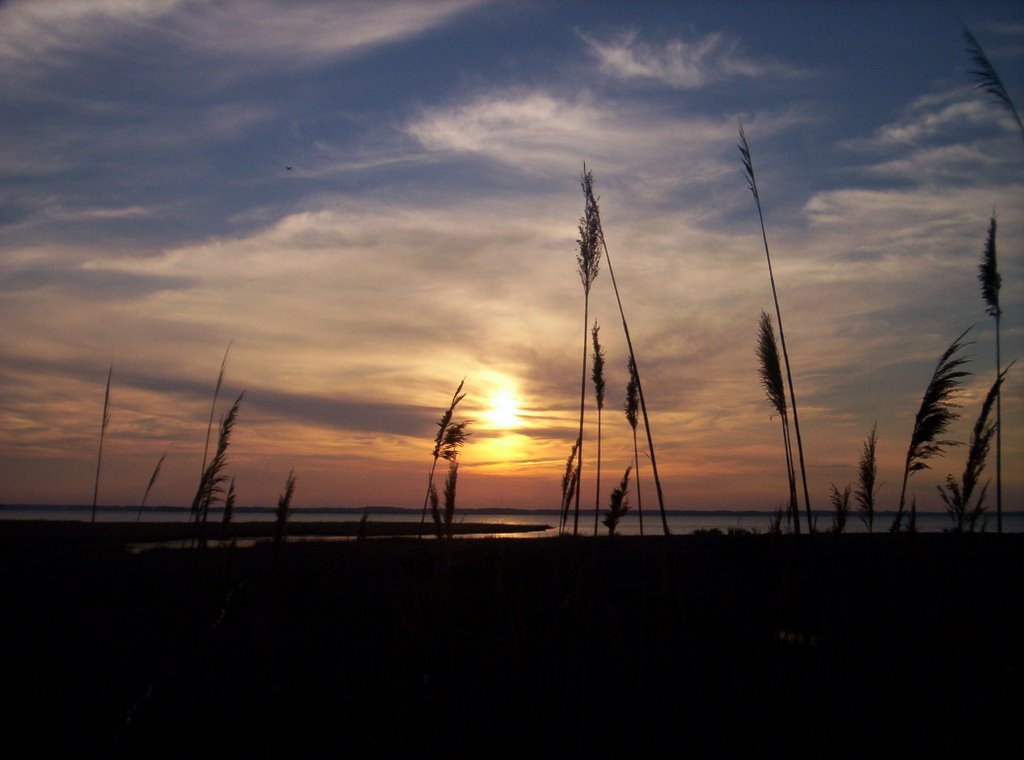 Ocean City M.D. Bayside 81st street by klookhart.imagekind.…