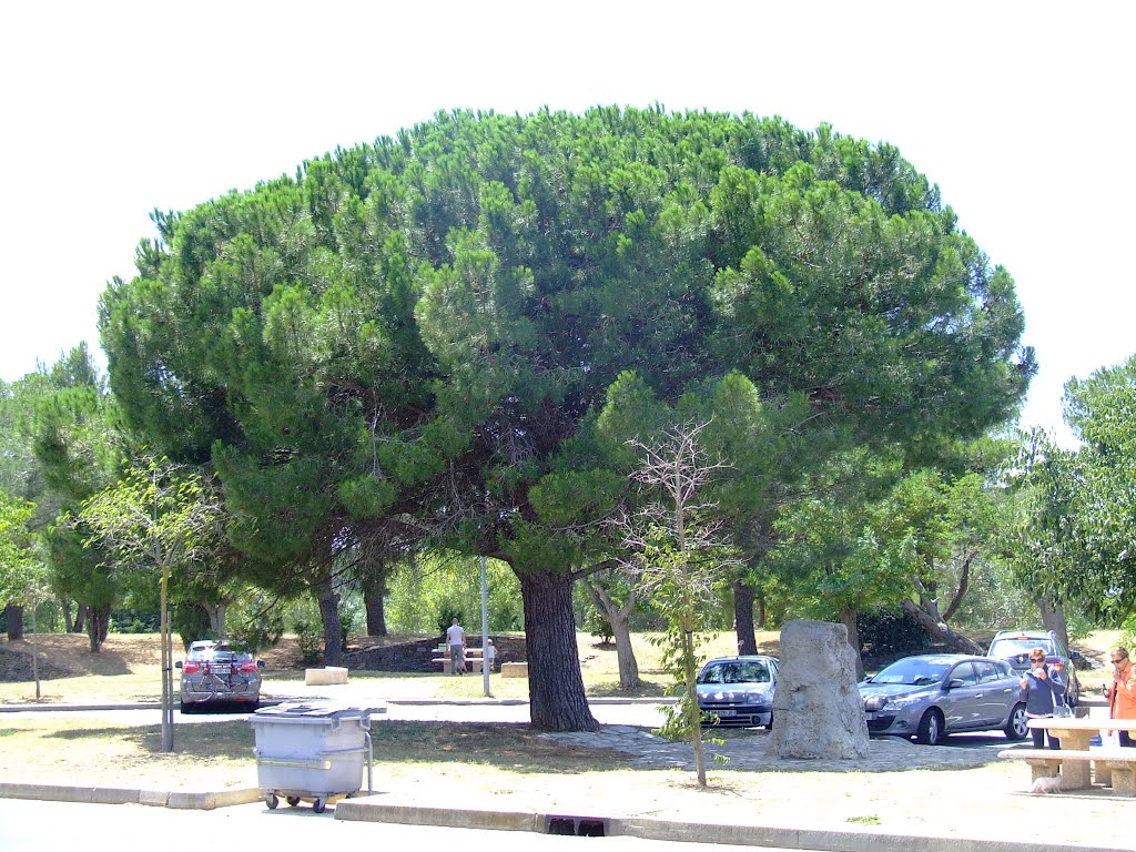 France.Arles (69457234) by Viktor Bakhmutov