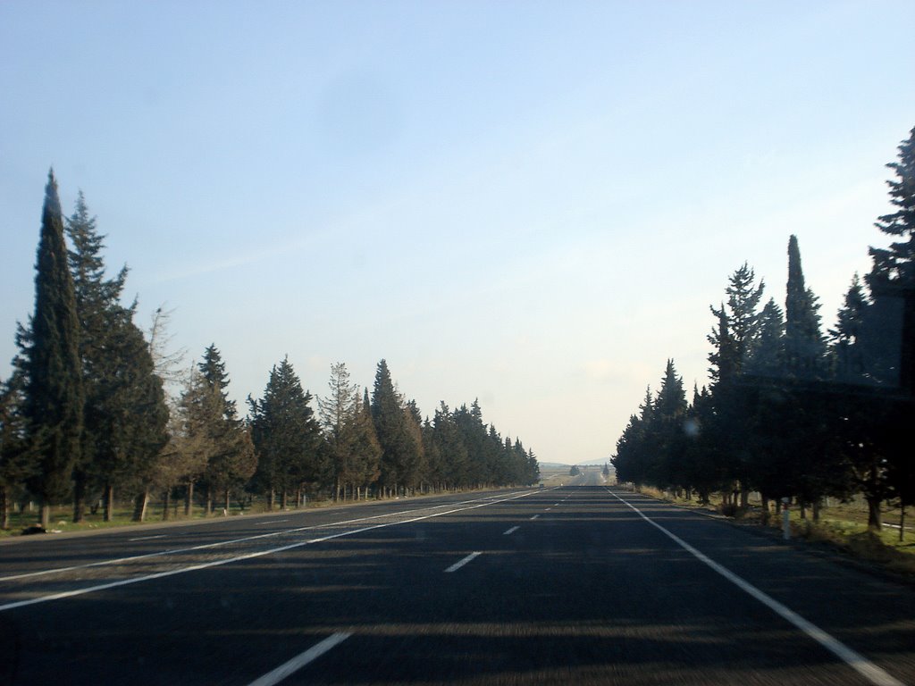 İzmir-Canakkale Road. Dikili, Izmir, Türkiye by TANJU KORAY UCAR