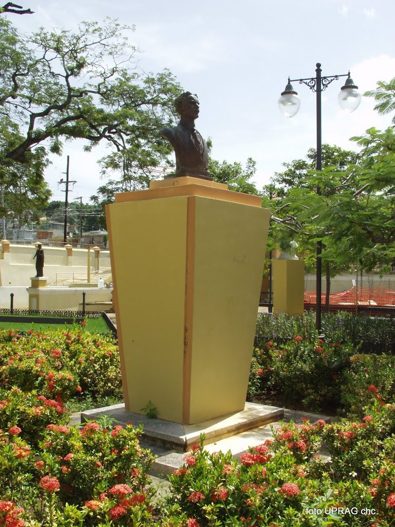 Busto de Don José de Jesús Esteves by bibliotecaaguadilla