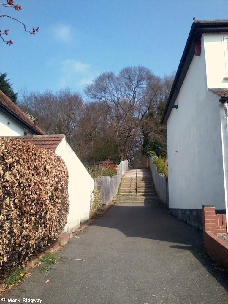 A path leading into Littleheath Woods by Mark Ridgway