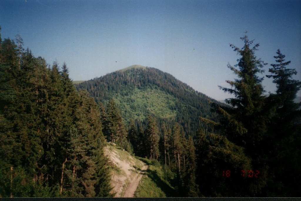 Yelgah tepesi rakım:2400M ( yelgah hill ,height above sea level:2400M) by plces