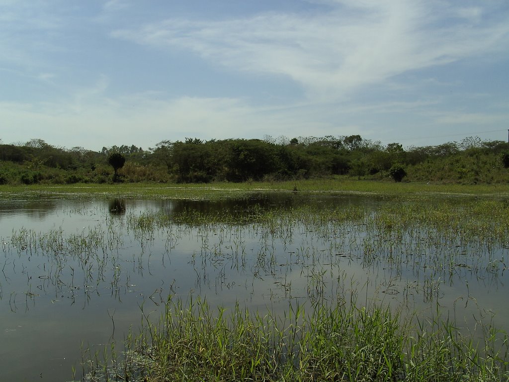 Laguna Gataguey, Galapa by guppy_67