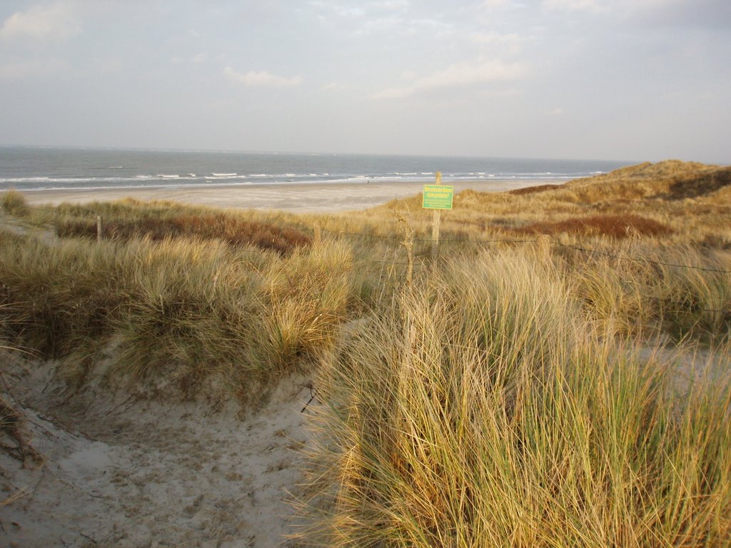 Borkum - Dunes and Beach by Laguna2