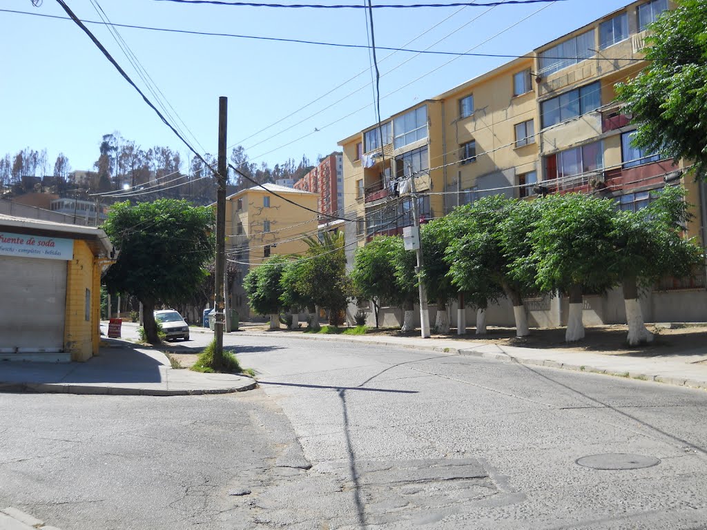 Calle Los Limonares, Viña del Mar by hugo lagos Jorquera