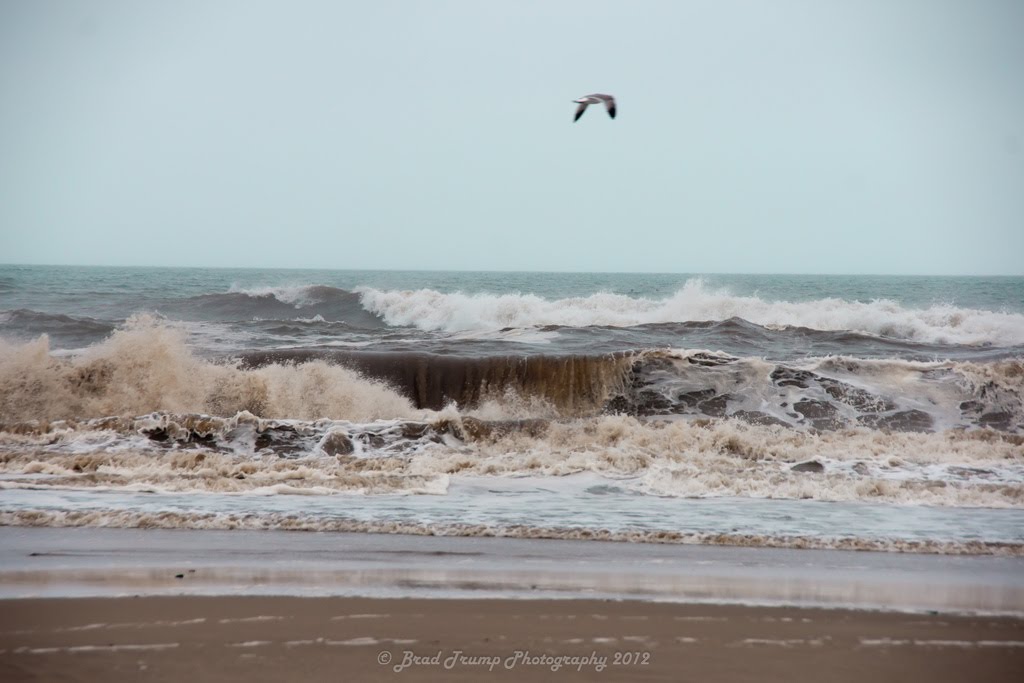 Brackish Waves by Brad Trump Photography