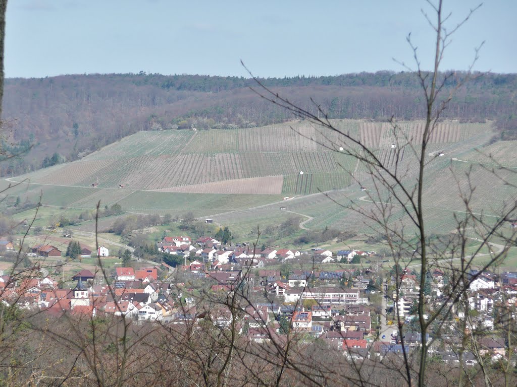 Stadt? zwischen Horrheim und Schützingen by Qwesy