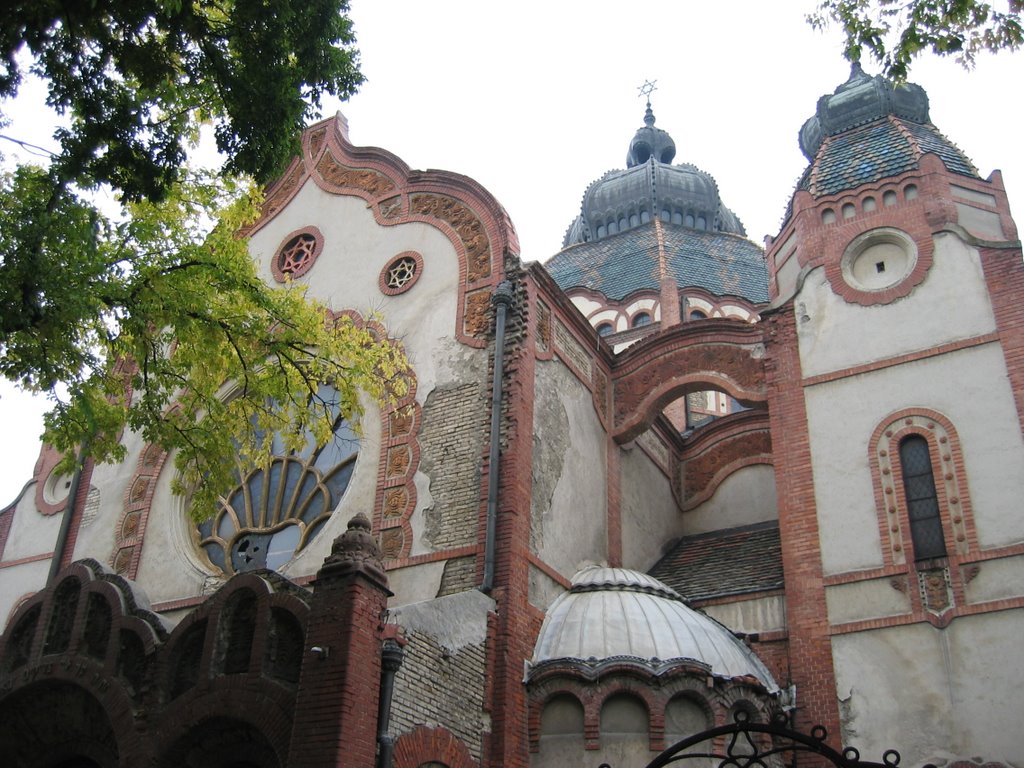 Sinagoga by Kresimir Opalk