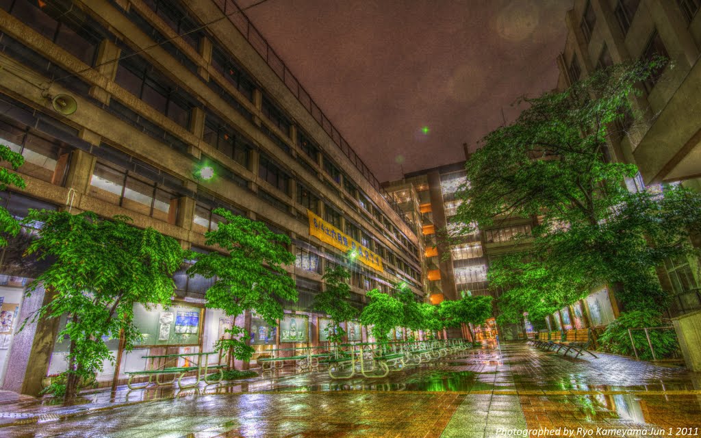 京都外国語大学HDR Kyoto University of Foreign Studies by RyoK