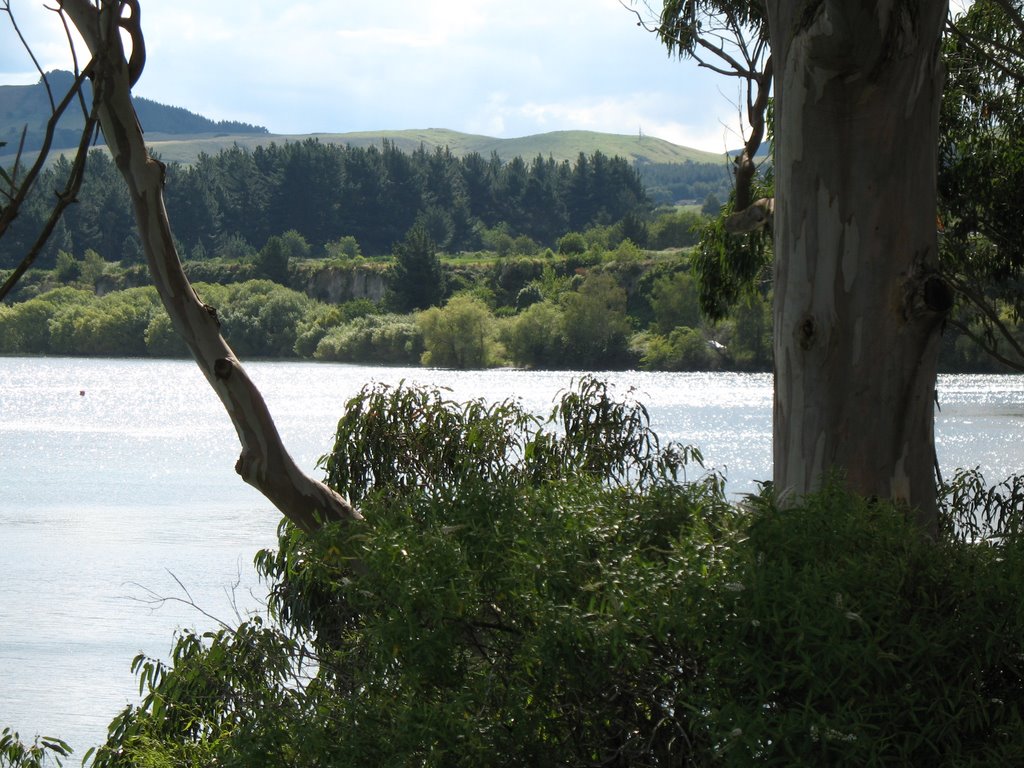 Lake Taupo looking west from the Rose Gardens by martin68