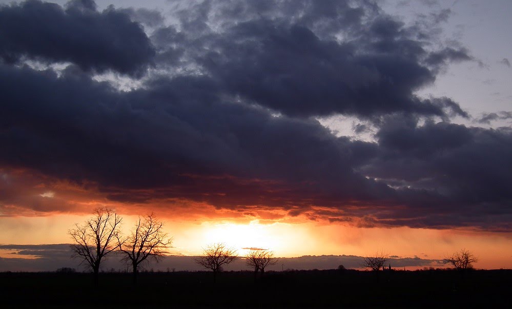 Sonnenuntergang bei Köthen by Peter Pfeiffer