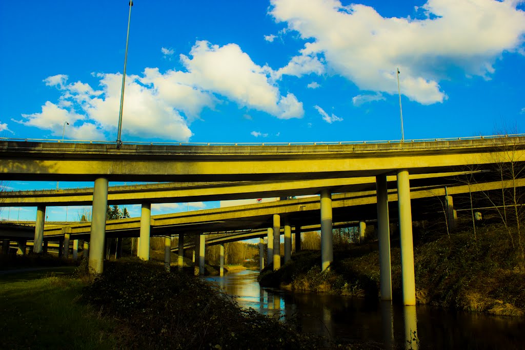 Burke Gilman Trail Overpass by Moohead