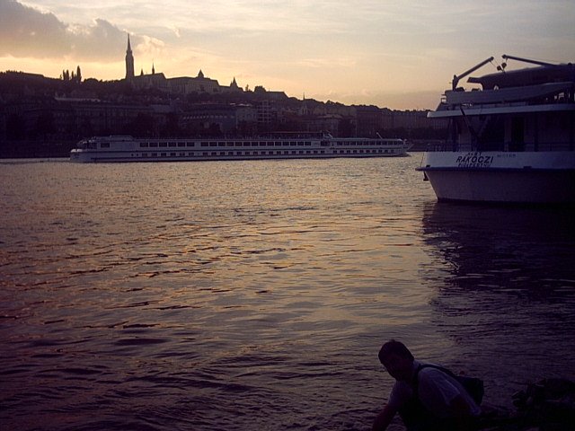 Viena en el Danubio by Juan Diezco