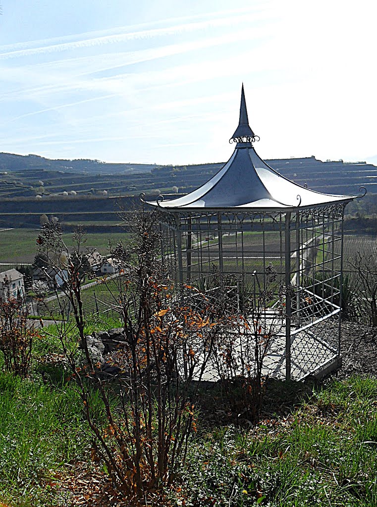 Ihringen-Blankenhornsberg - Weinberge by Sehnwirmal