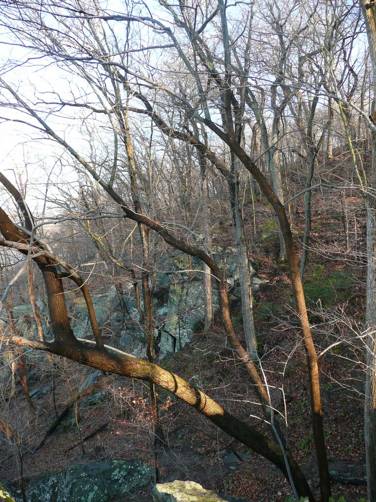 View from Overlook at Scott's Run 2 by Josh550