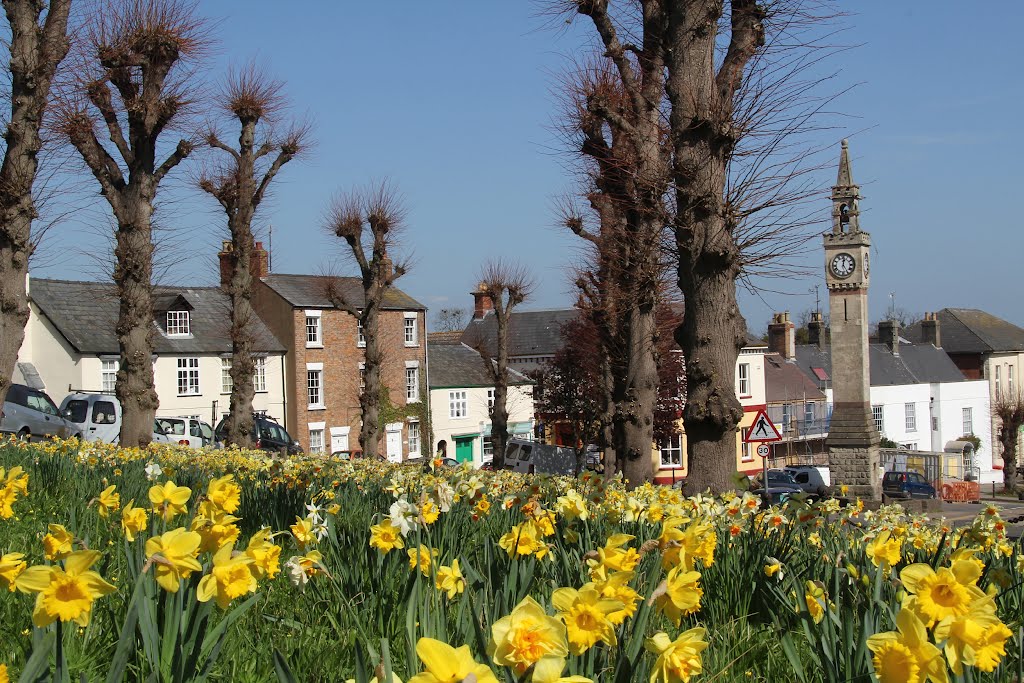 Newnham clock tower and Daffodils by brian daniels